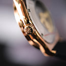 Đồng hồ cơ nam Alexander Ferros 6161 - Sắp về hàng 30/11