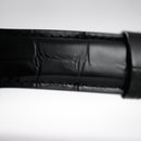 Đồng hồ cơ I&W Carnival IW523G