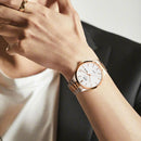 Đồng hồ cơ I&W Carnival IW530G