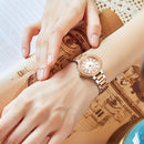 Đồng hồ pin nữ I&W Carnival IW603