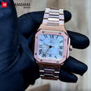 Đồng hồ cơ nam Carnival 8169G